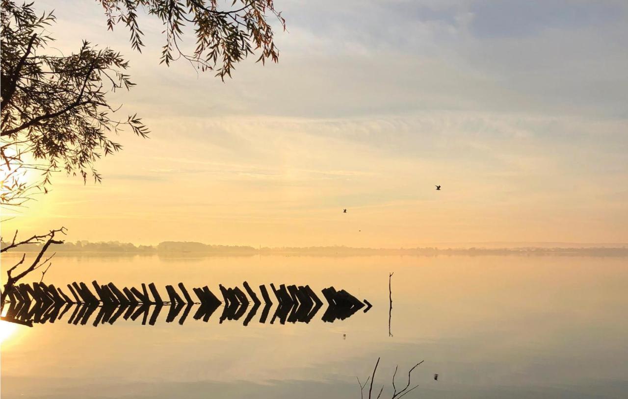 Stunning Home In Lembruch-Duemmer See With Sauna ภายนอก รูปภาพ